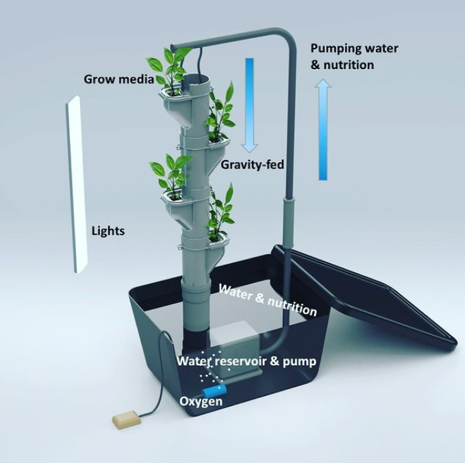 Vertical NFT system